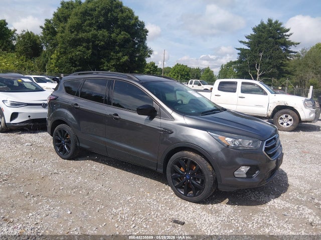 Salvage Ford Escape Image