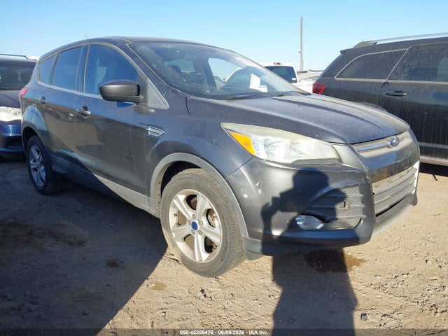 Salvage Ford Escape Image