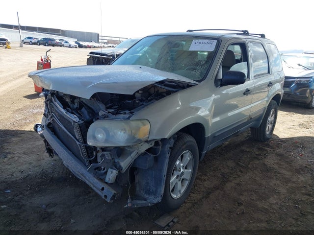 Ford Escape Xlt
