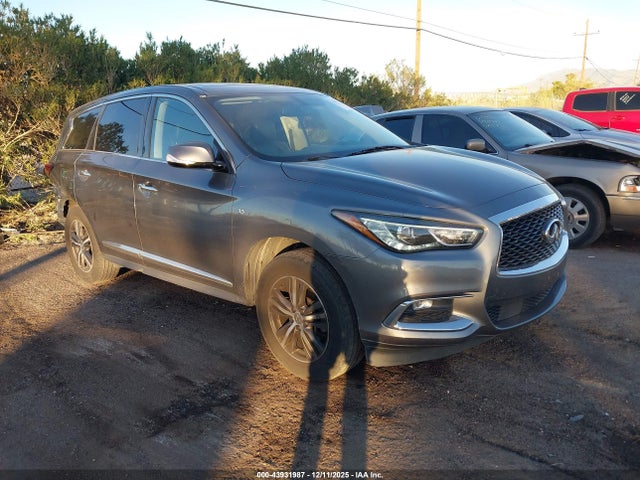 Salvage INFINITI Qx Image