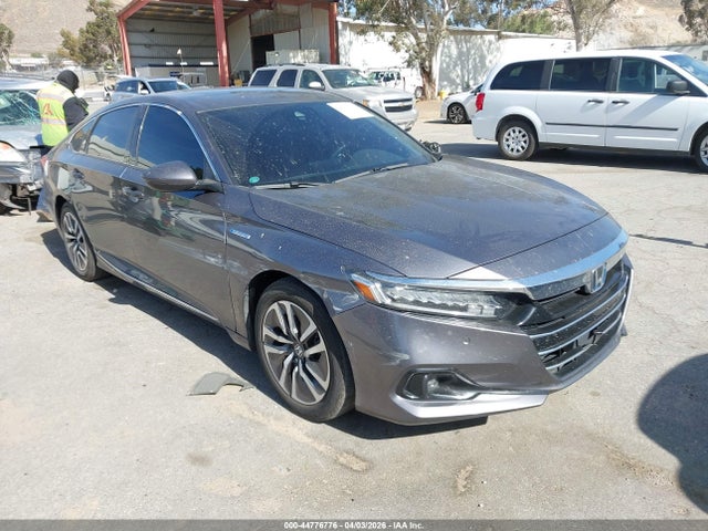 Salvage Honda Accord Image