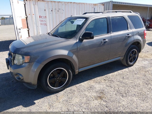 Ford Escape Xlt