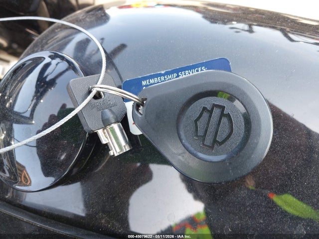 Harley-Davidson Fltrxs