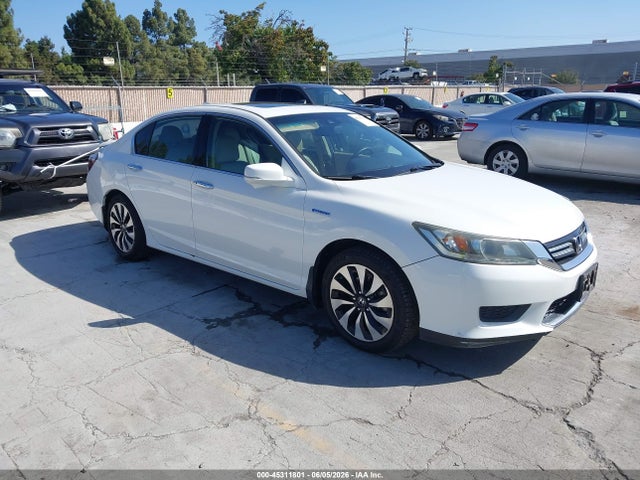 Salvage Honda Accord Image