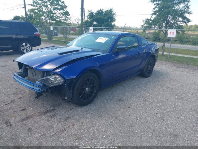 Ford Mustang V6