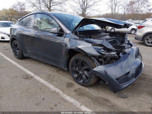 Salvage Tesla Model Y Image