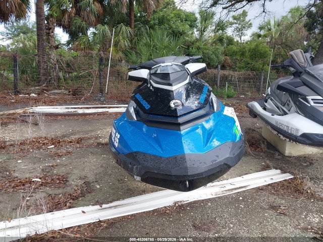 Sea-Doo Other