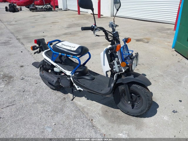 Honda Nps50