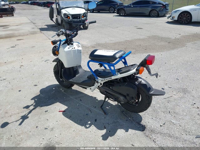 Honda Nps50