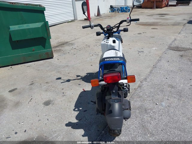 Honda Nps50