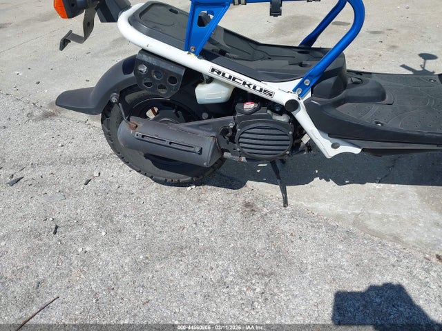 Honda Nps50