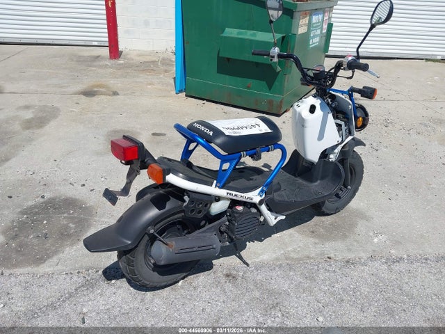 Honda Nps50