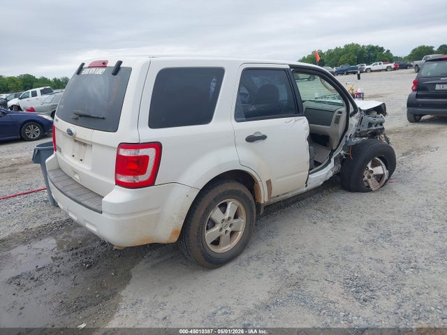 Ford Escape Xls