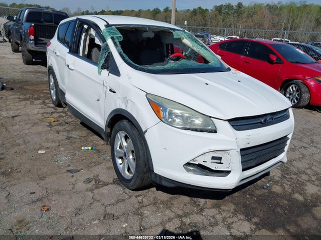Salvage Ford Escape Image