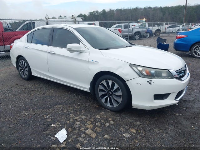 Honda Accord Ex-l