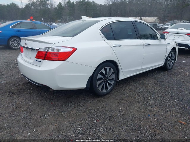 Honda Accord Ex-l