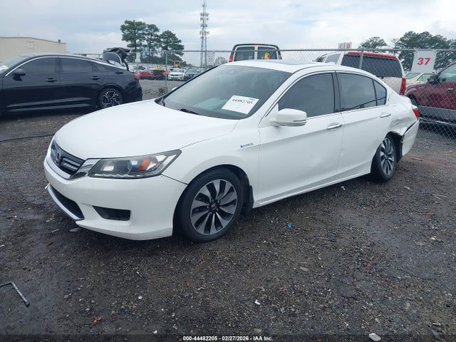 Honda Accord Ex-l