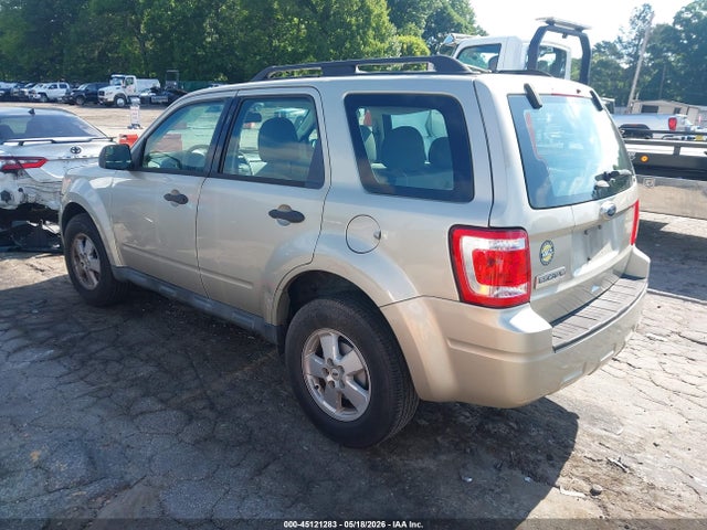 Ford Escape Xls