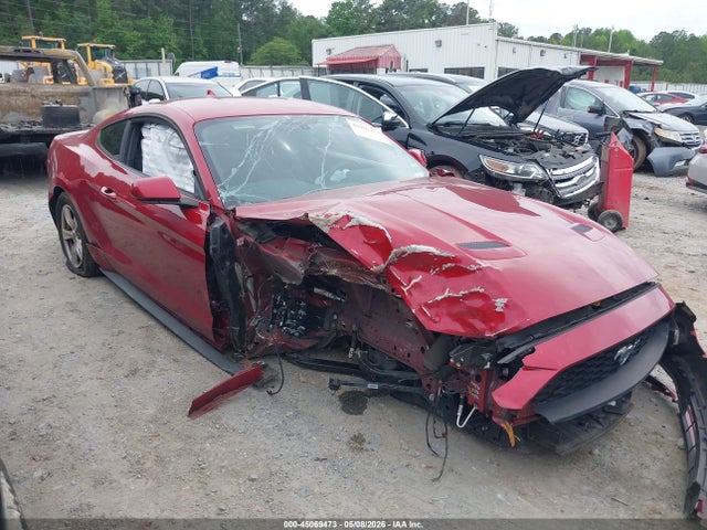 Salvage Ford Mustang Image