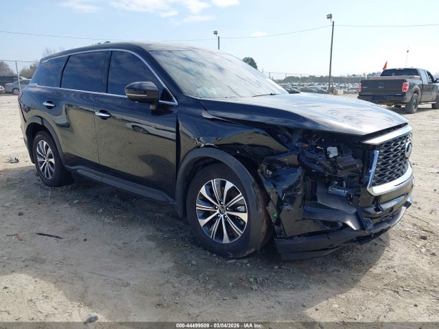 Salvage INFINITI Qx Image