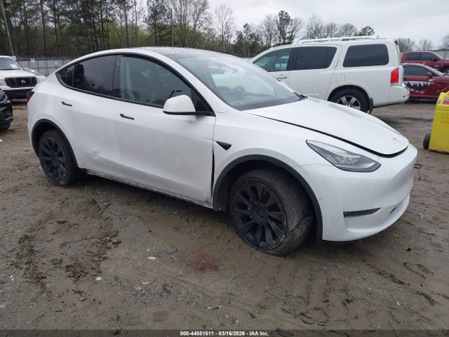 Salvage Tesla Model Y Image