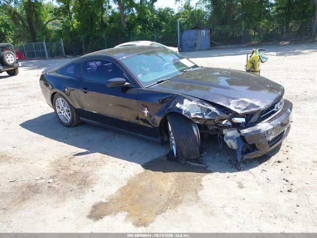 Salvage Ford Mustang Image
