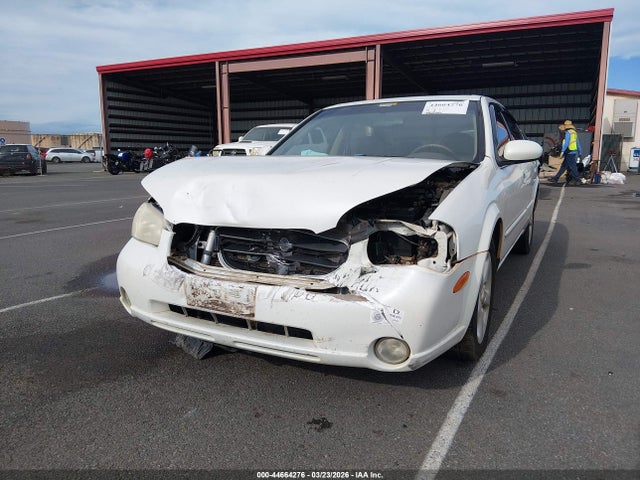 Nissan Maxima Gle