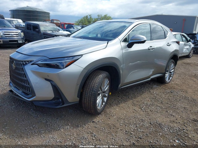 Lexus NX Luxury