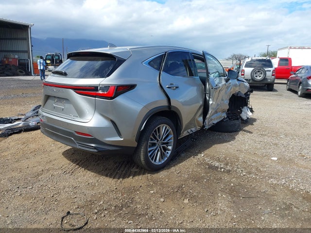 Lexus NX Luxury
