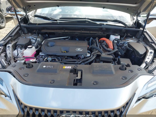 Lexus NX Luxury