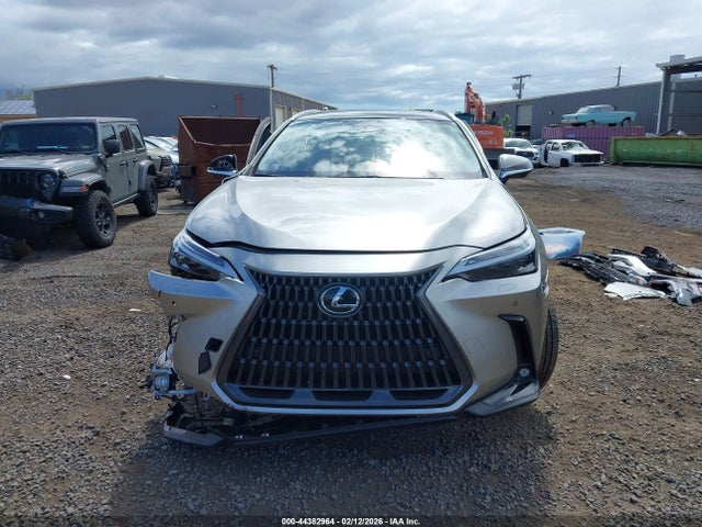 Lexus NX Luxury