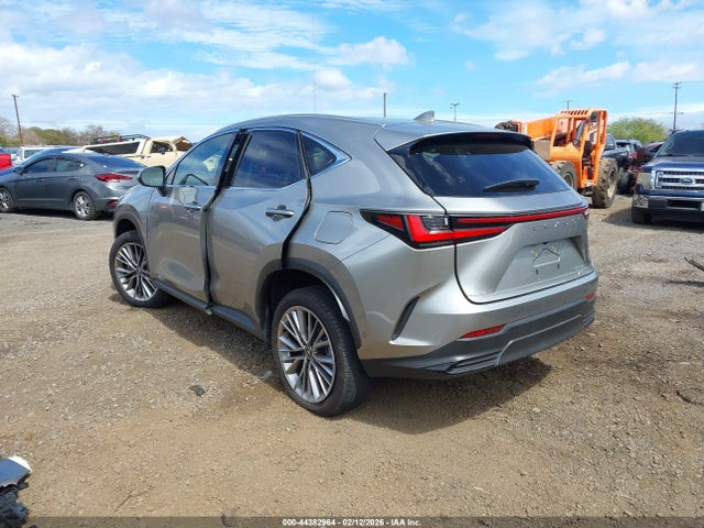 Lexus NX Luxury