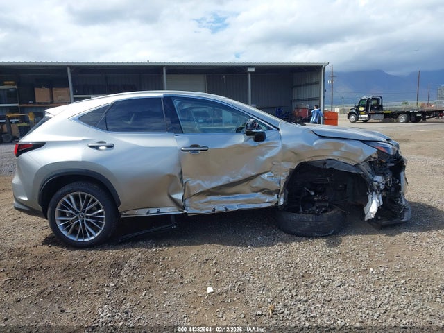 Lexus NX Luxury