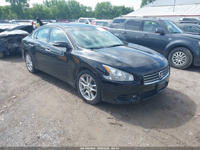 Salvage Nissan Maxima Image