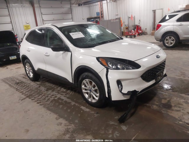 Salvage Ford Escape Image