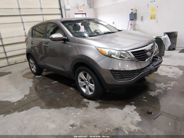 Salvage Kia Sportage Image