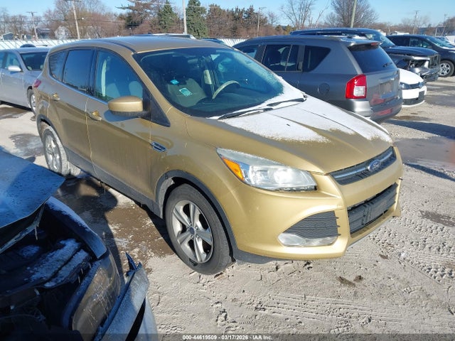 Salvage Ford Escape Image