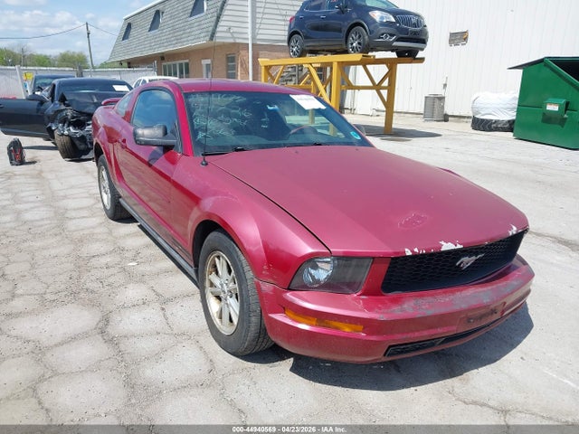 Salvage Ford Mustang Image