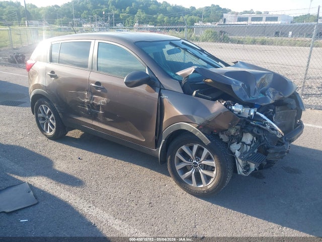 Salvage Kia Sportage Image