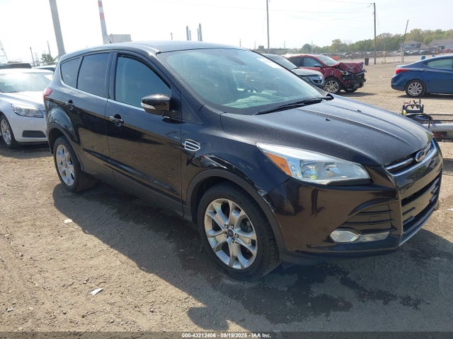 Salvage Ford Escape Image