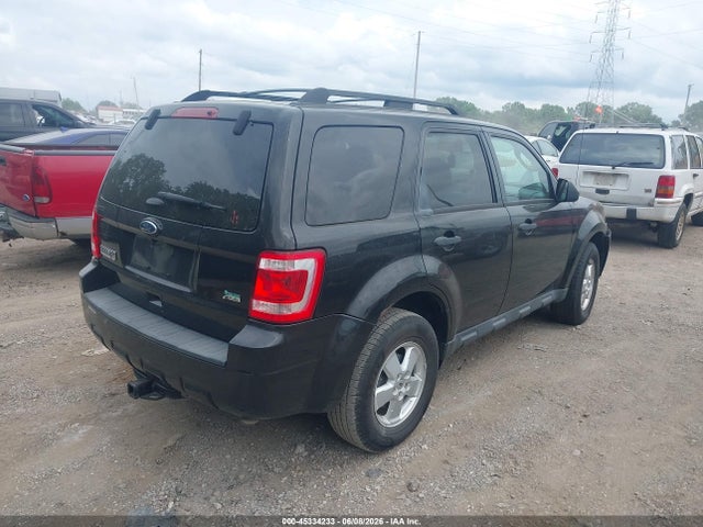 Ford Escape Xlt