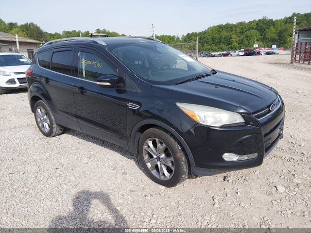 Salvage Ford Escape Image