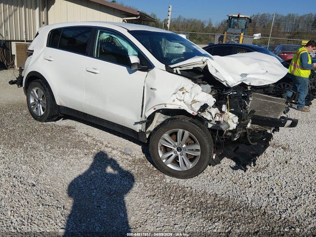 Salvage Kia Sportage Image