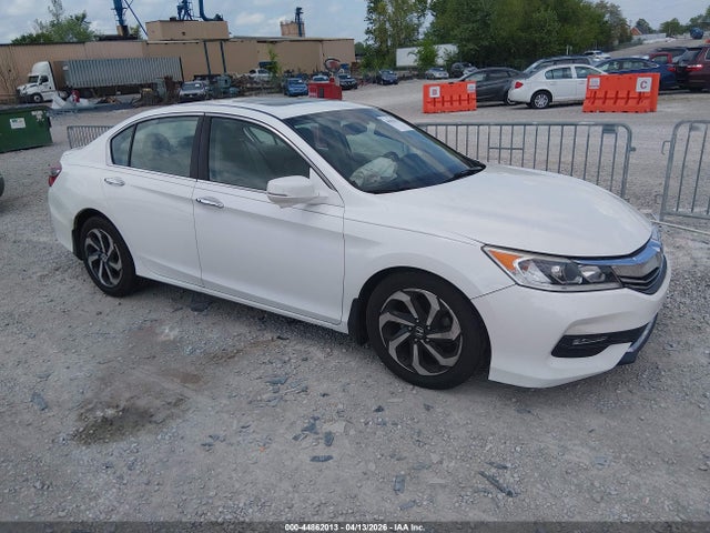 Salvage Honda Accord Image