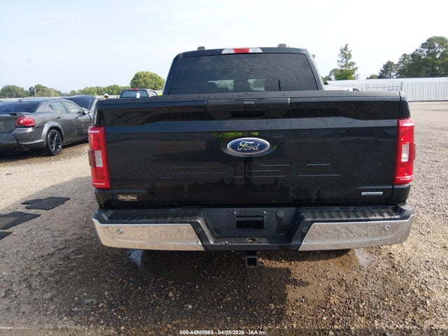 Ford F-150 Xlt