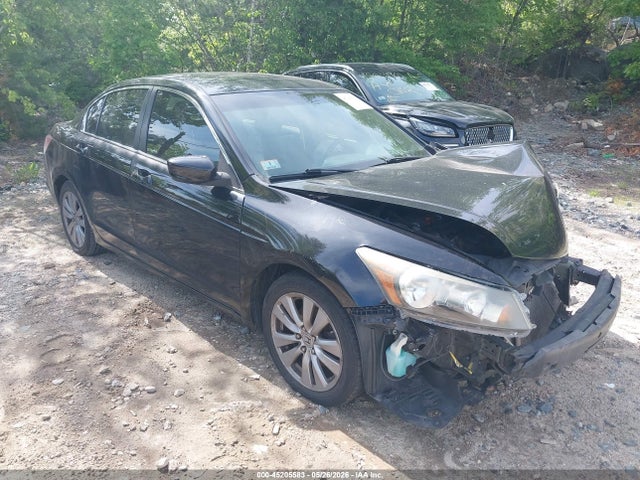 Salvage Honda Accord Image