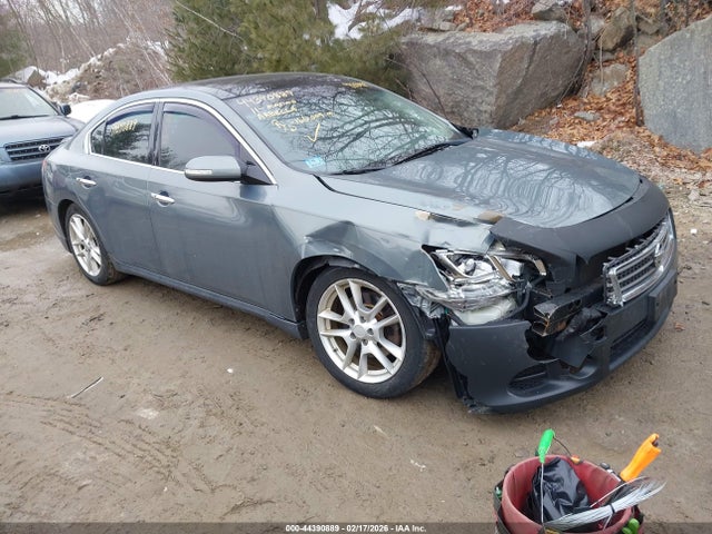 Salvage Nissan Maxima Image