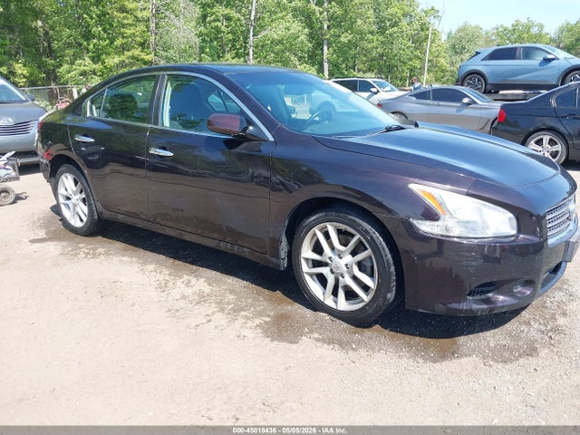 Salvage Nissan Maxima Image