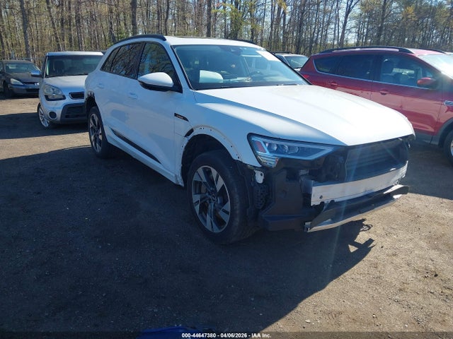 Salvage Audi e-tron Image