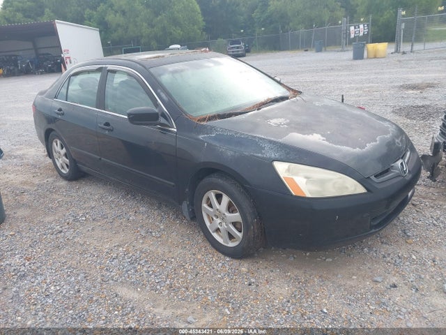 Salvage Honda Accord Image